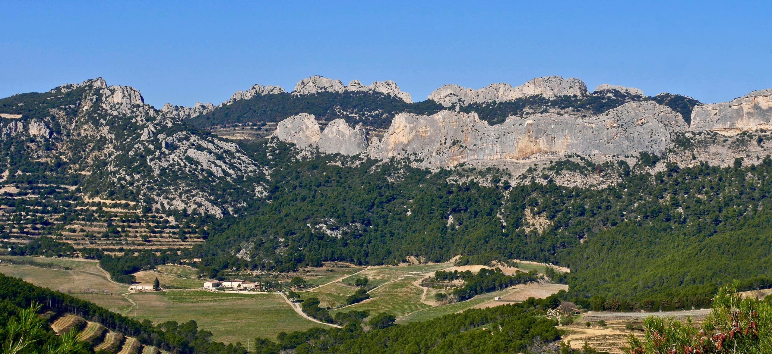 Massif des Dentelles de Montmirail et vallée boisée, randonnée au départ des cabanes de Lafare