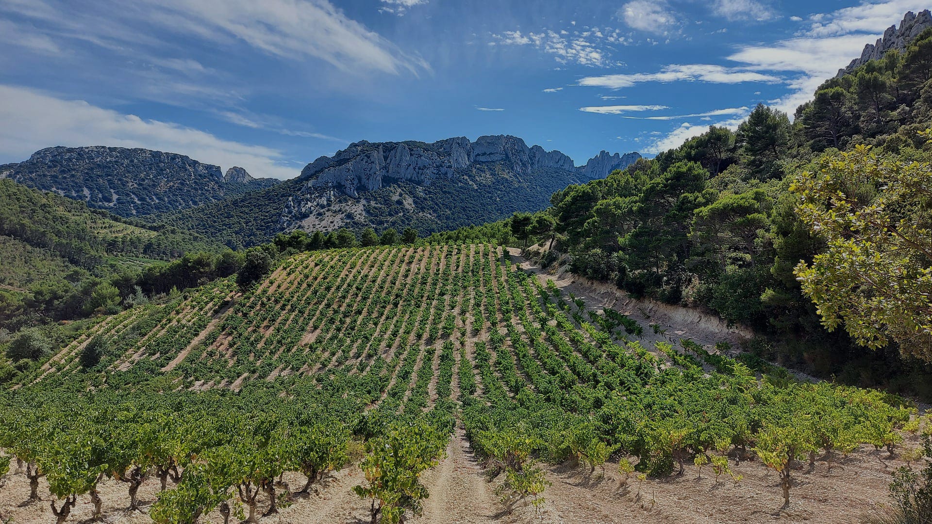 Les Cabanes de Provence – C’est au coeur de la Provence, dans les