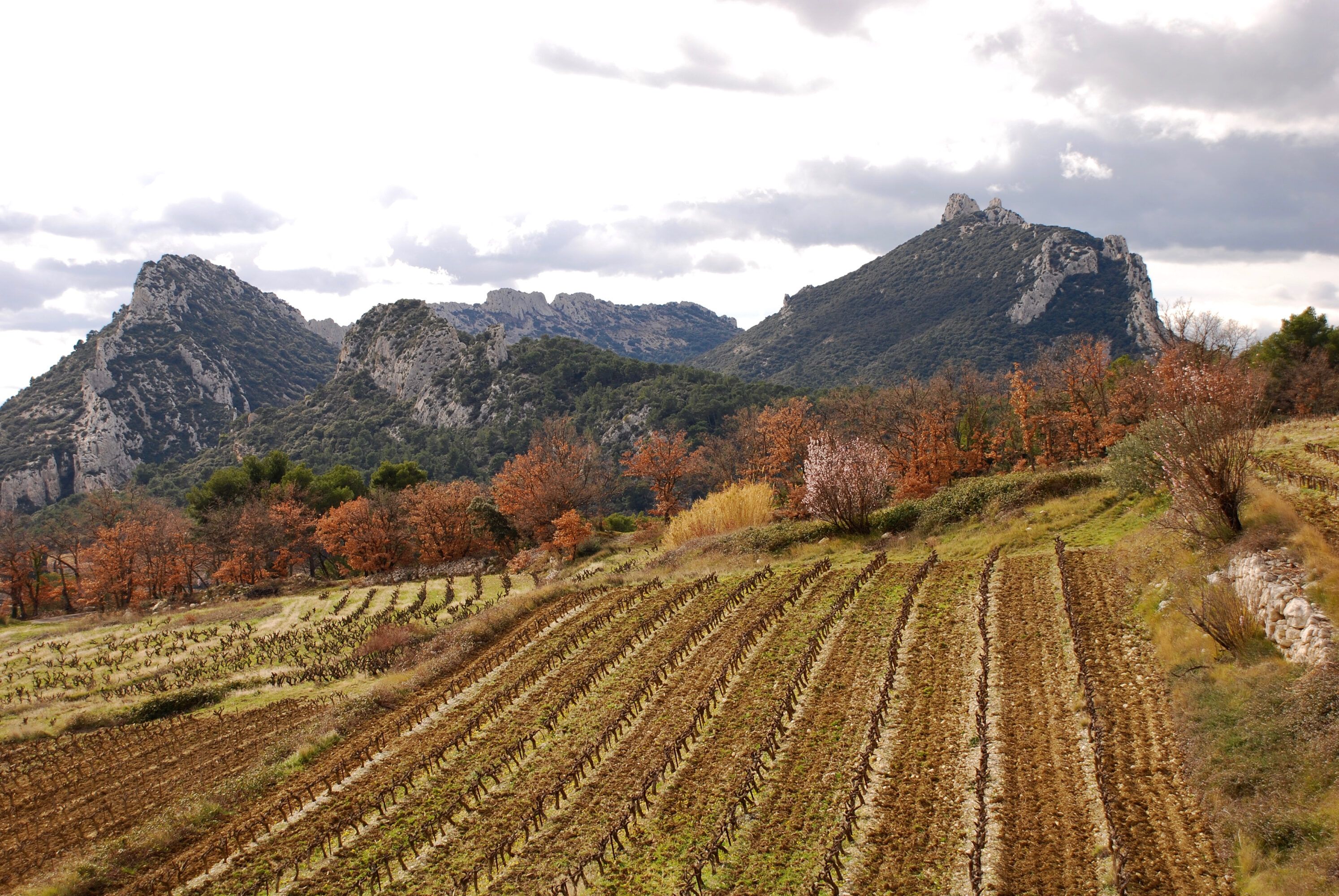 Provence in winter: 8 ideas between Ventoux and Baronnies